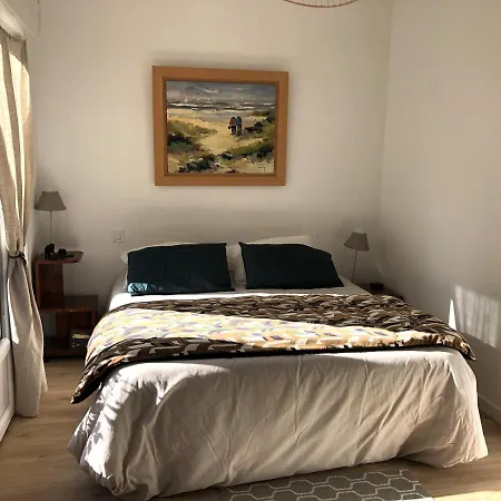 Fleur Des Pins Maison Confort Au Calme * Arcachon